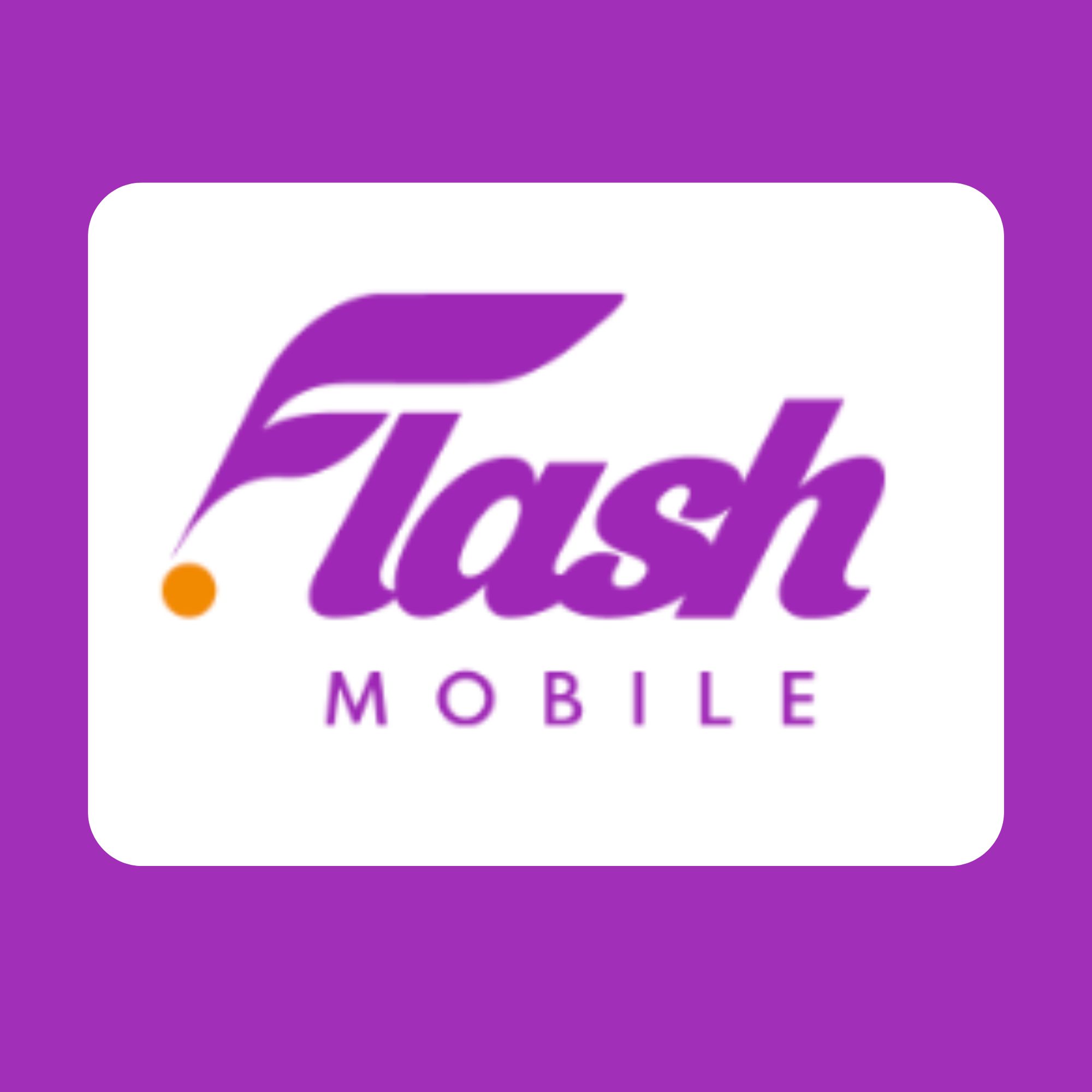 FLASH LOGO WEB